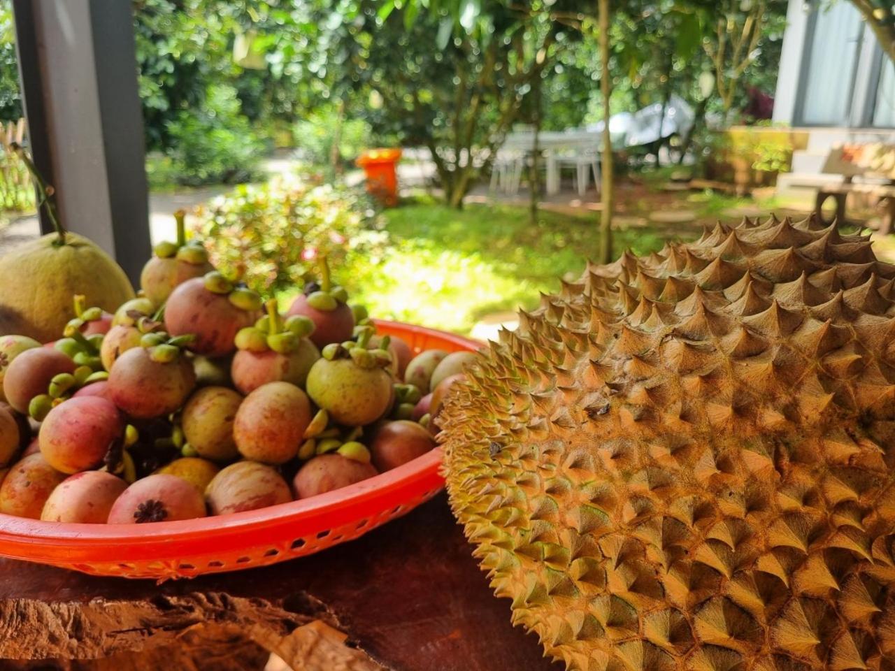 Homestay Vuon Trai Cay Nhiet Doi Vo Uu Garden Bao Loc Zewnętrze zdjęcie