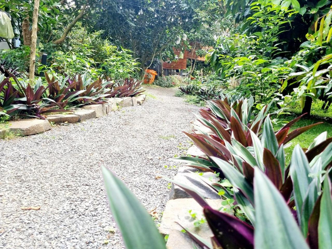 Homestay Vuon Trai Cay Nhiet Doi Vo Uu Garden Bao Loc Zewnętrze zdjęcie